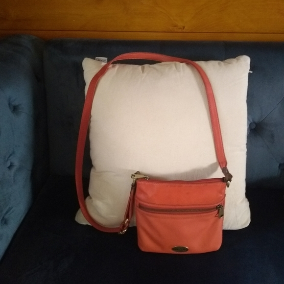 The flawed fossil purse - Picture 5 of 12